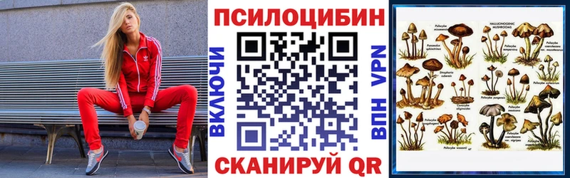 Псилоцибиновые грибы прущие грибы Циолковский