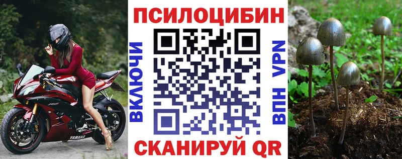 мега зеркало Циолковский Псилоцибиновые грибы Cubensis