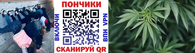 Марихуана Bruce Banner  мега рабочий сайт  Циолковский 